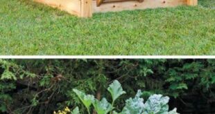 elevated garden beds