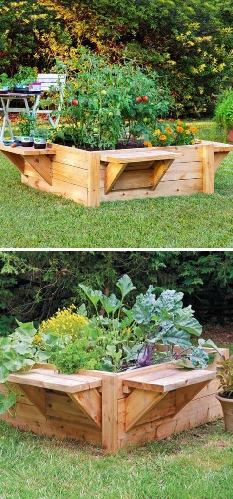 Raised Garden Beds: A Better Way to Grow Your Favorite Plants