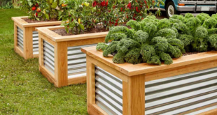 elevated garden beds