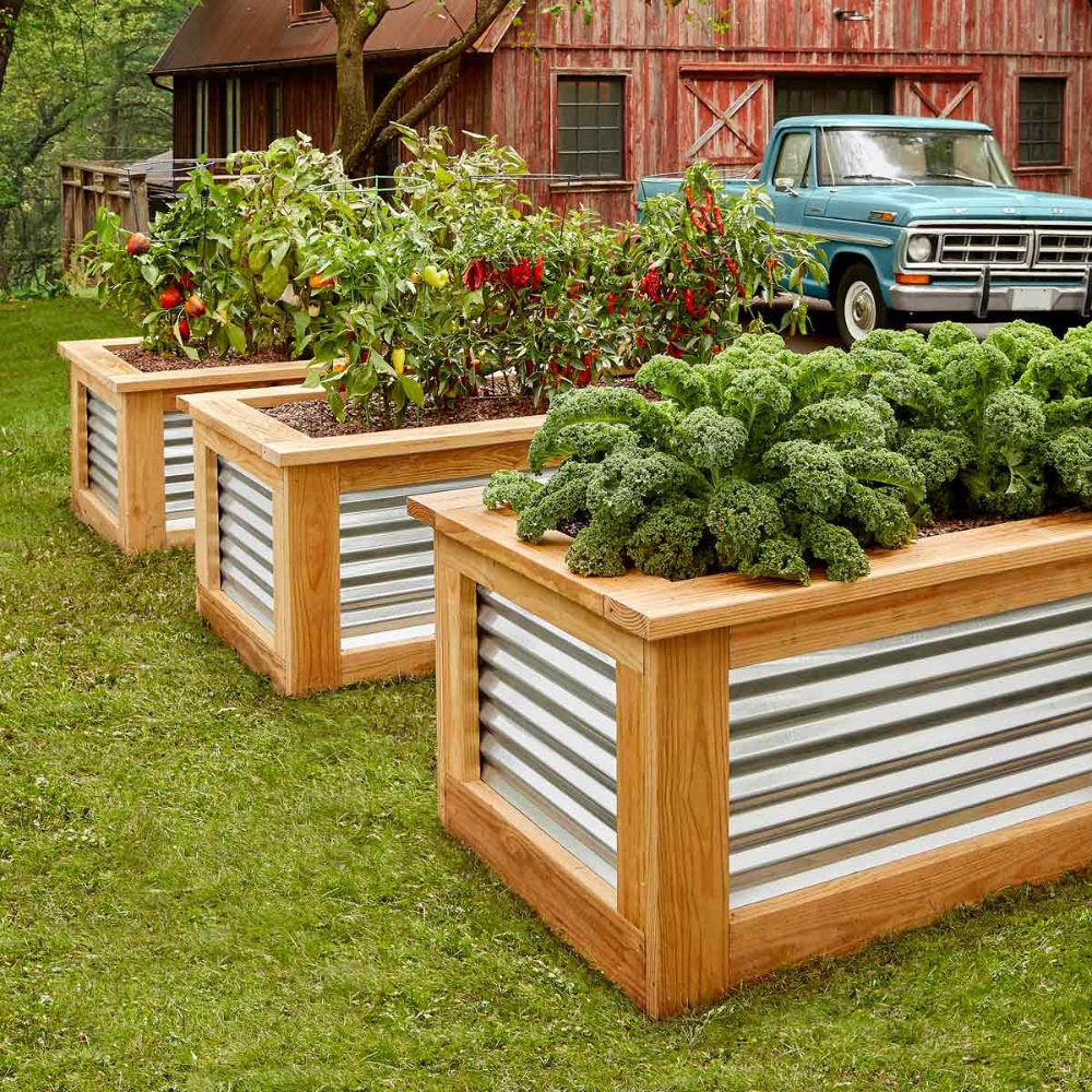 Raised Garden Beds: A More Accessible Approach to Gardening