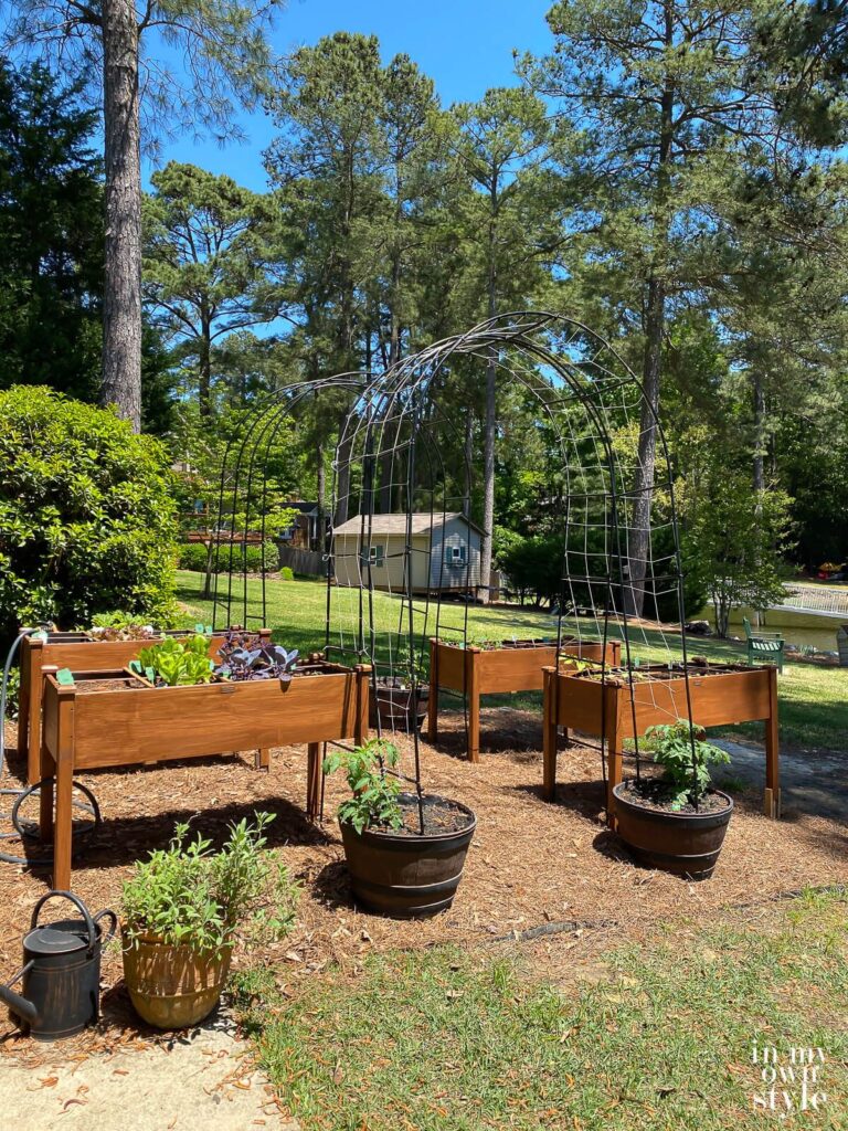 elevated garden beds