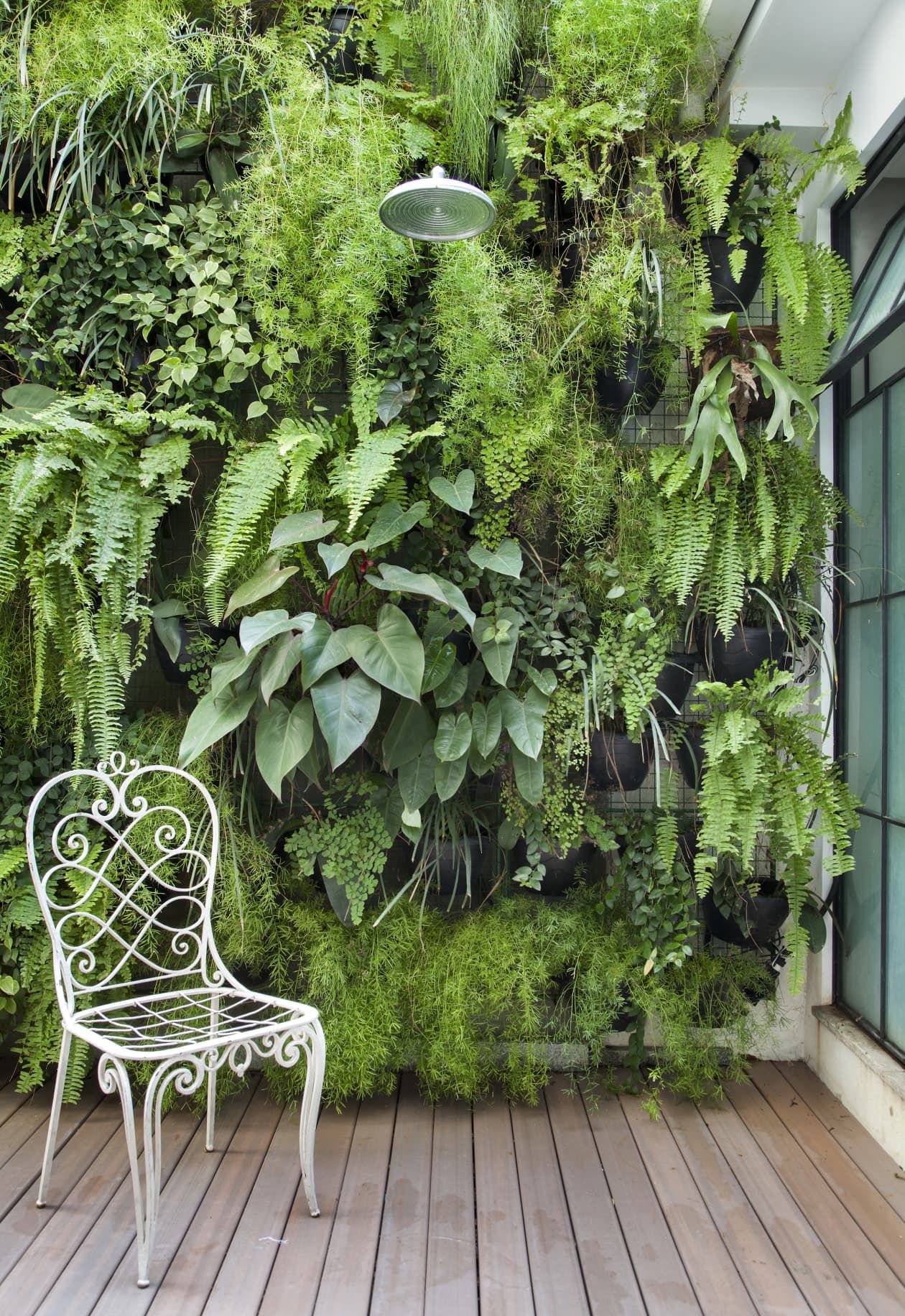 Reaping the Benefits of Vertical Gardens: A New Perspective on Sustainable Living