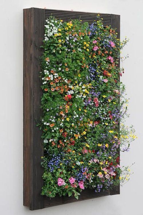 Reimagining Urban Spaces: The Beauty of Vertical Gardens