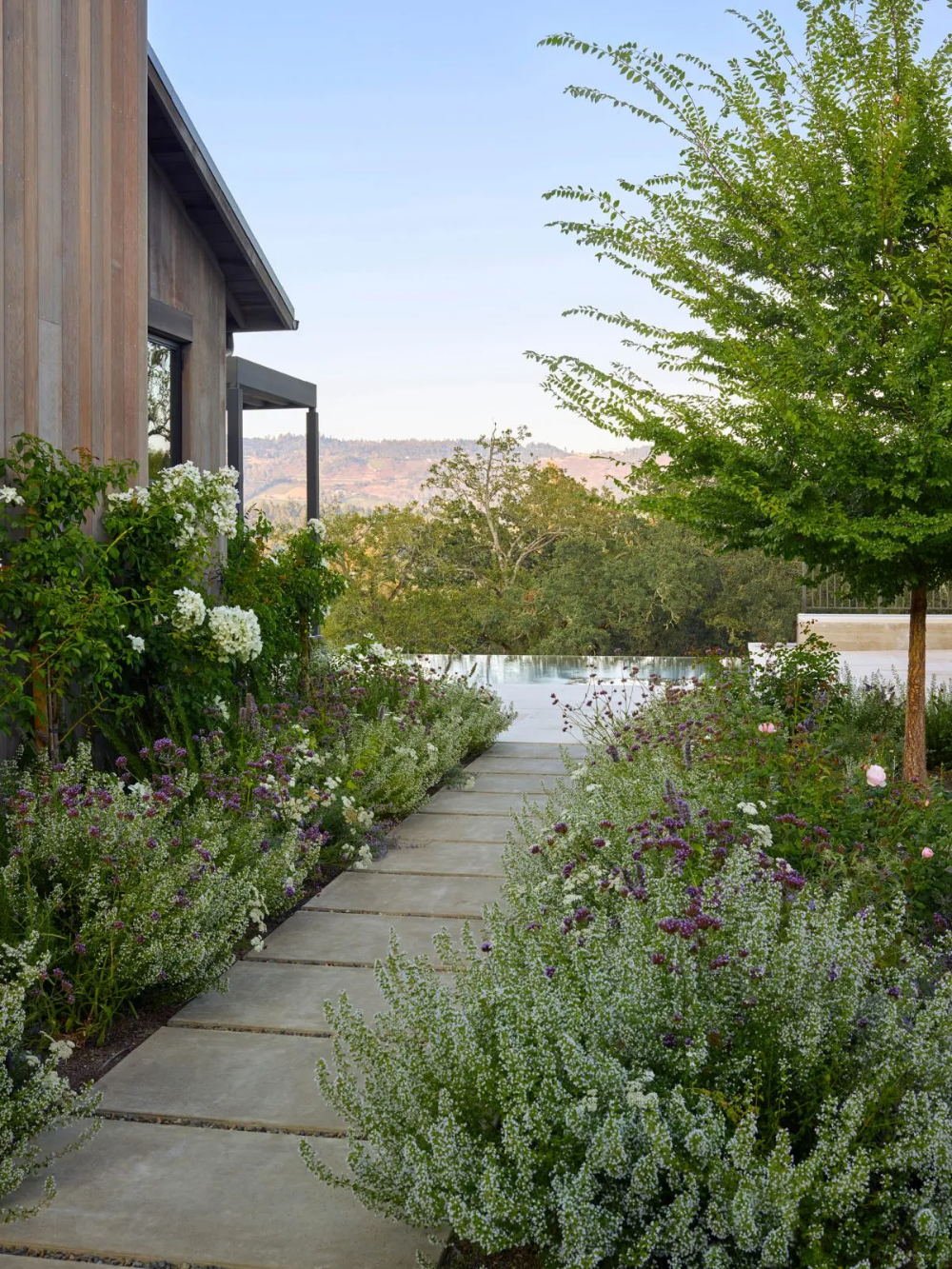 Revolutionizing Garden Design: The Modern Approach