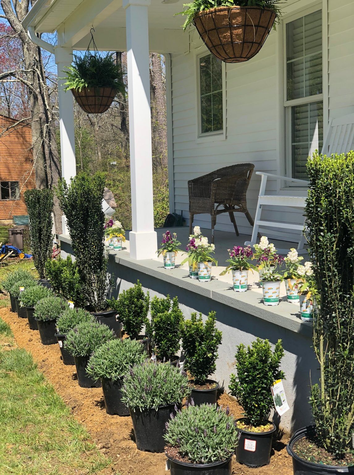 Rustic Charm: Transforming Your Front Yard with Farmhouse Landscaping