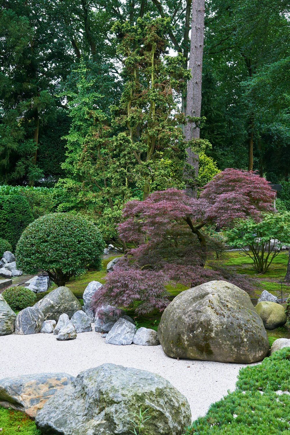 Serene Beauty: Exploring the Japanese Garden