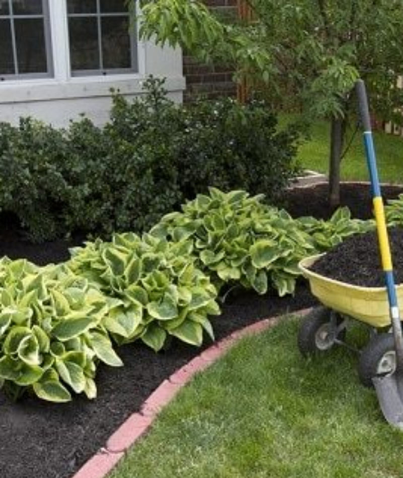 Simple Landscaping Tips for an Instant Garden Transformation