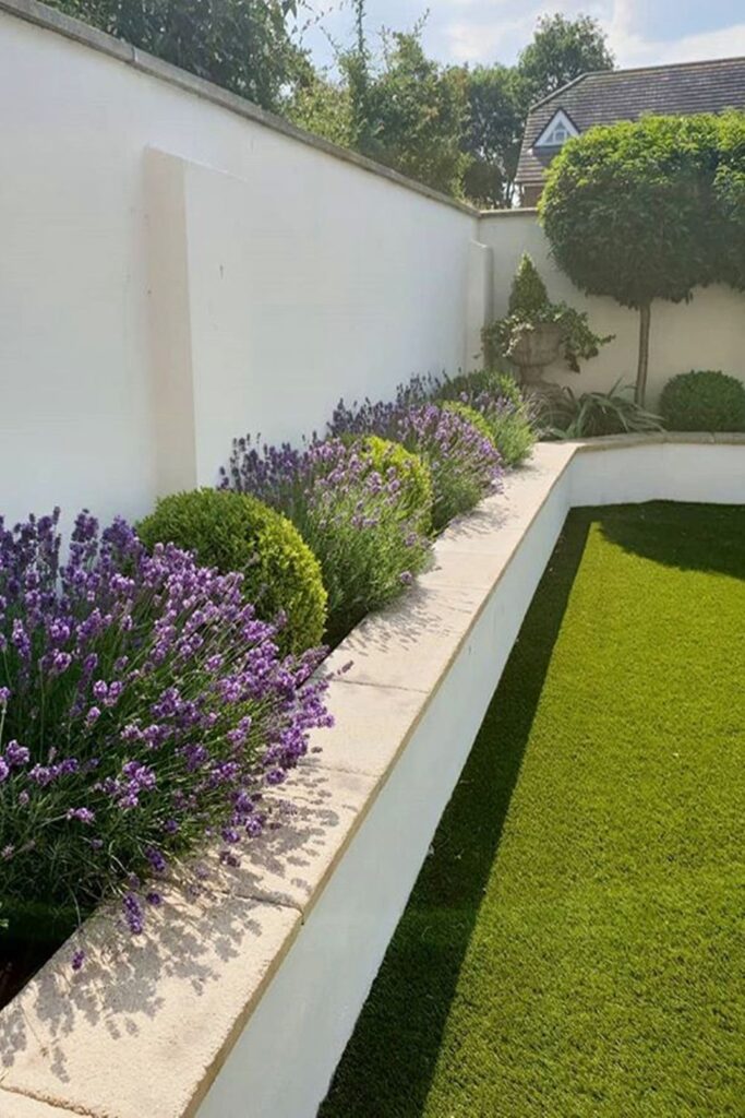 garden design minimalist