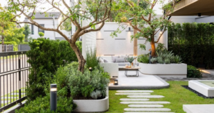 garden design minimalist