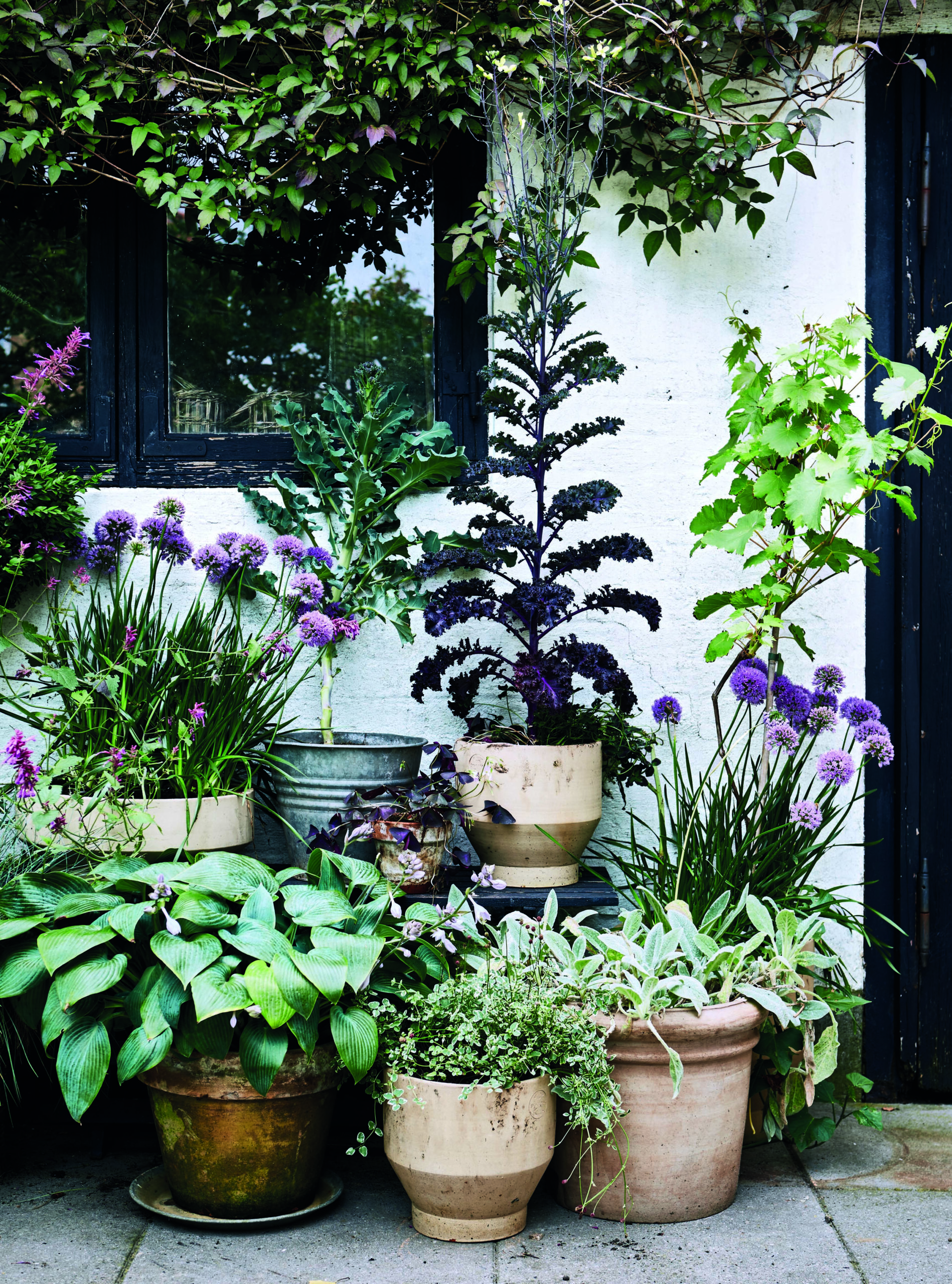 Small Space Paradise: The Beauty of Patio Gardens
