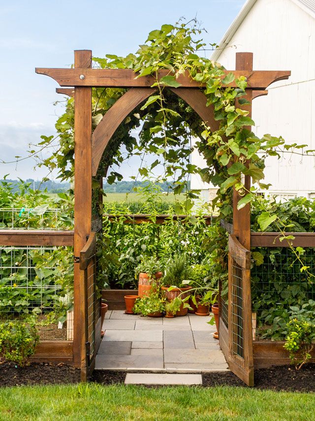 Sprucing Up Your Outdoor Space with a Beautiful Garden Arbor