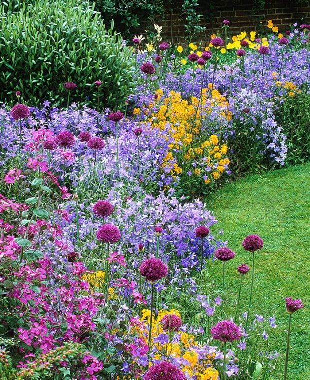 Strategies for Creating a Colorful Garden with Beautiful Flowers