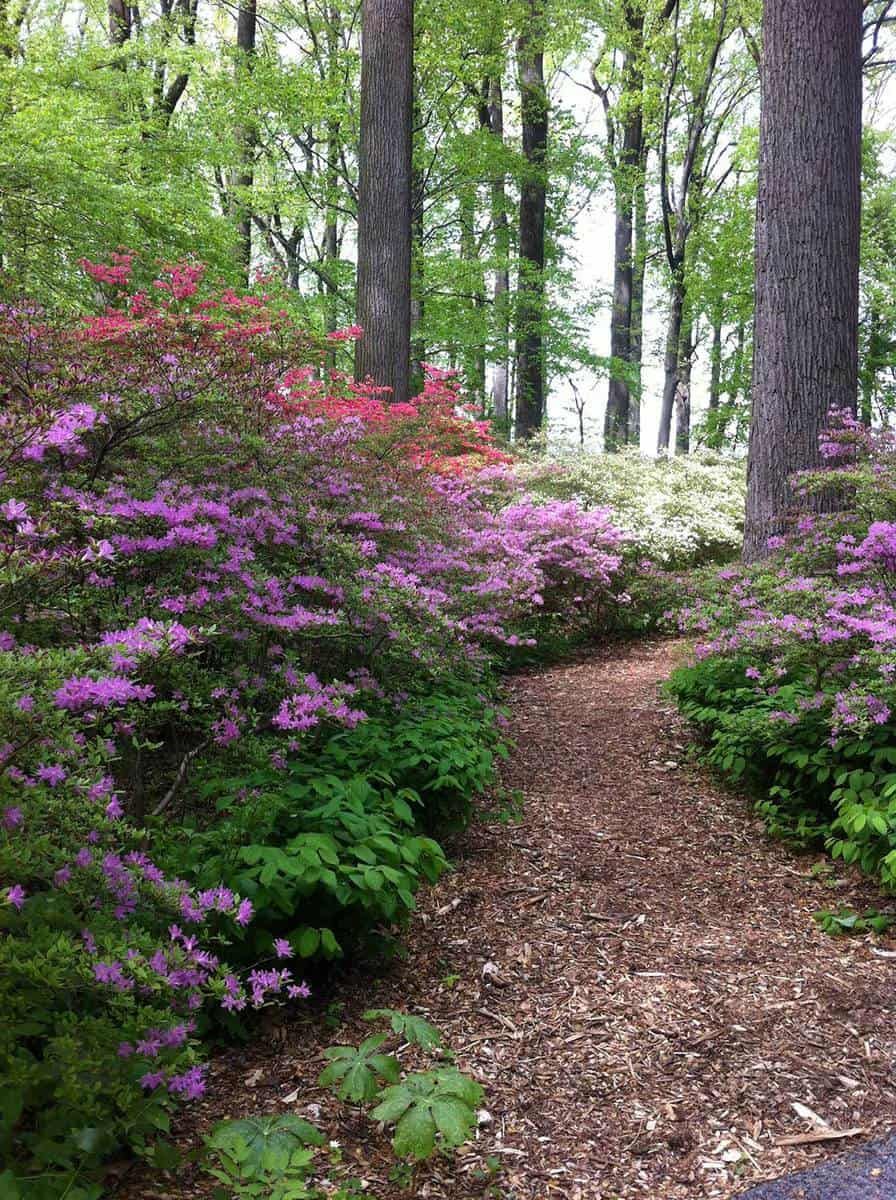 Stunning Pathways: Creative Ideas for Your Garden Walkways
