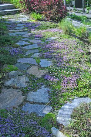 Stunning Ways to Beautify Your Garden Path