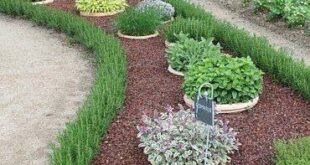 herb garden design