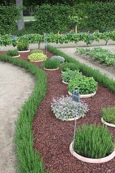 The Art of Creating Beautiful Herb Gardens