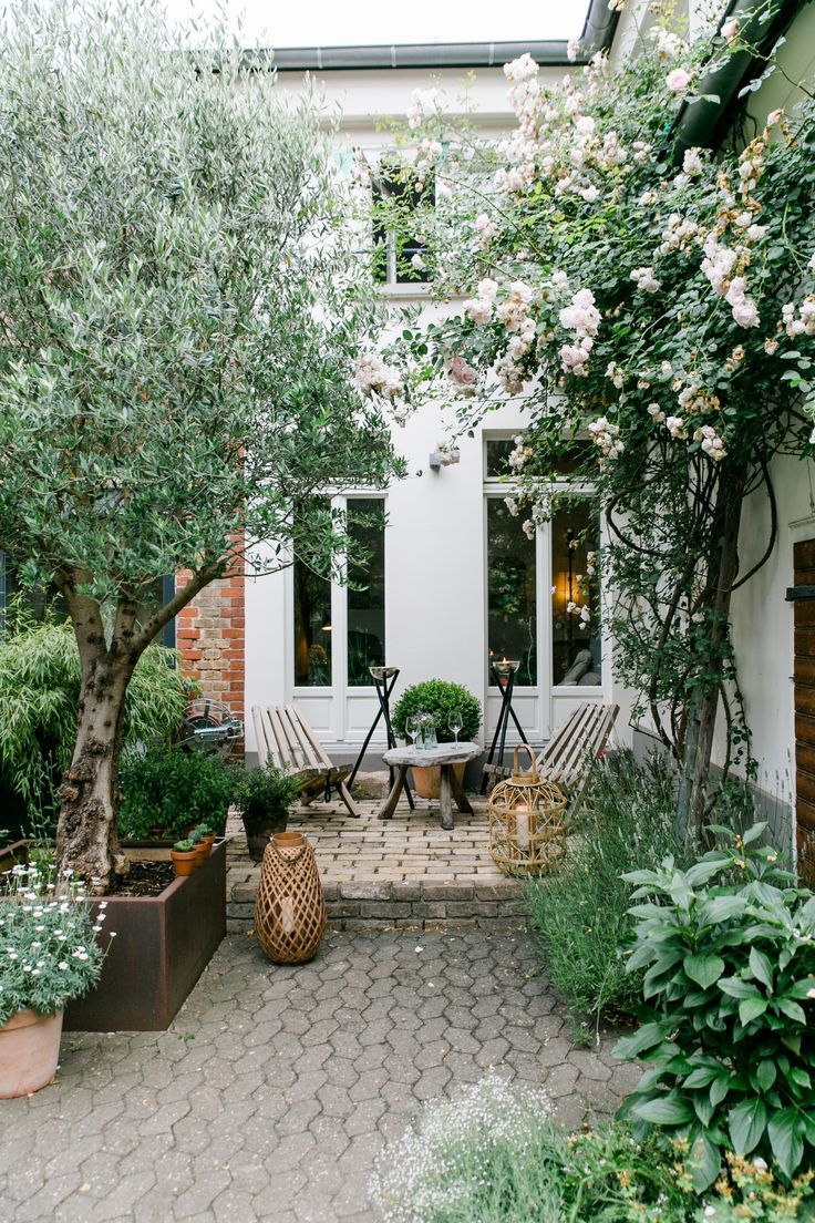 The Art of Creating Stunning Garden Designs: Drawing Inspiration from Nature and Creativity