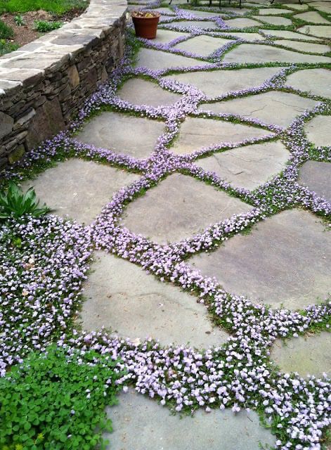 The Art of Creating an Inviting Garden Path