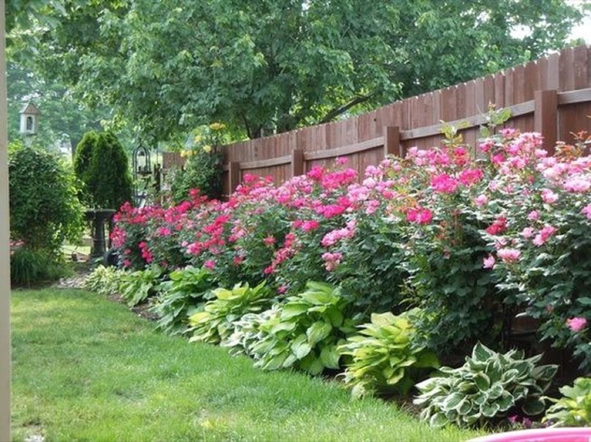 The Art of Designing a Beautiful Patio Garden