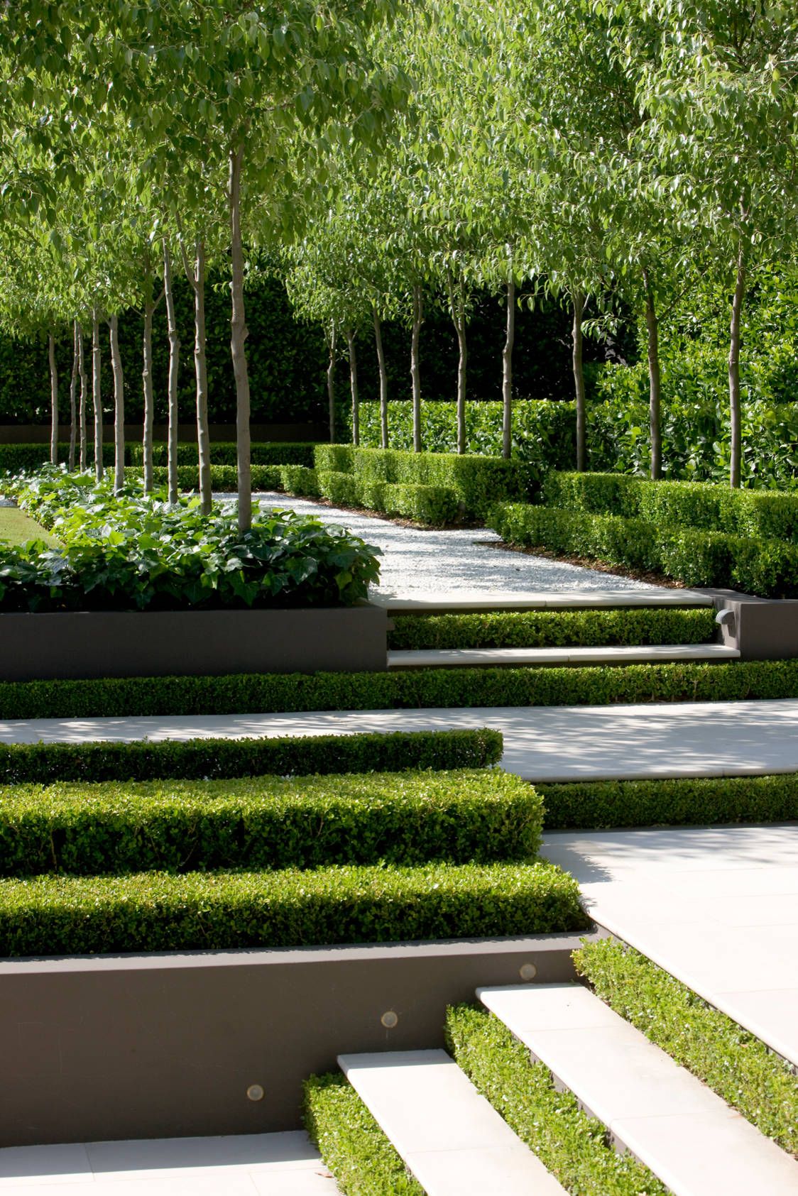 The Art of Formal Garden Design: Creating Timeless Elegance