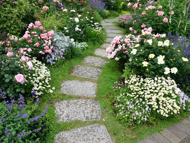 The Art of Rose Garden Design