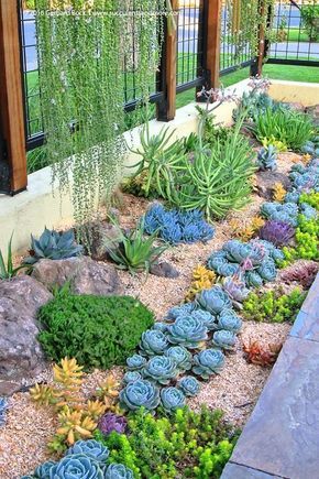 The Art of Succulent Garden Design: Creating a Lush Oasis with Drought-Tolerant Plants