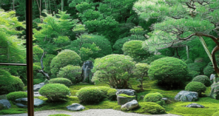 zen garden design