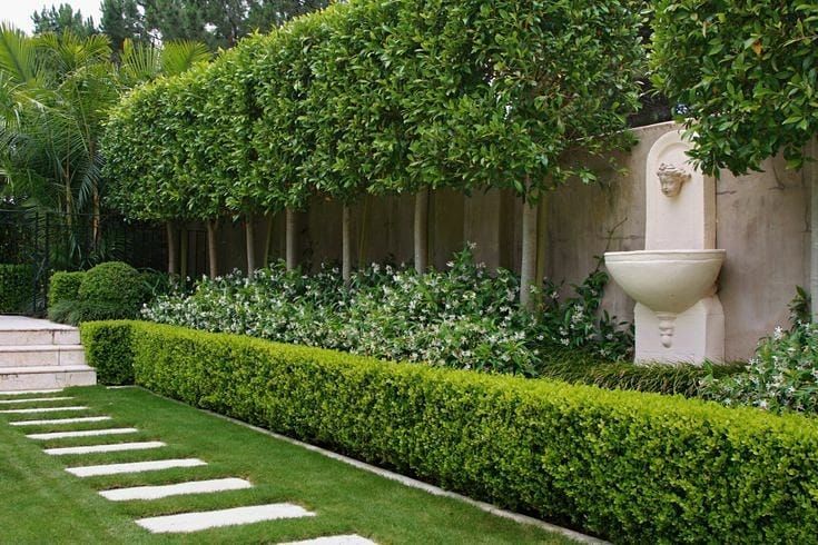 The Beauty and Benefits of Garden Hedges