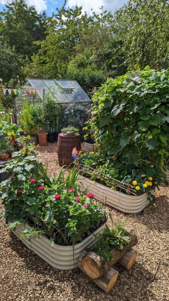 backyard garden