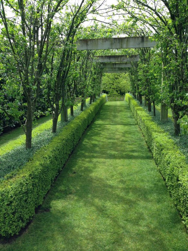 The Beauty and Elegance of Formal Garden Design