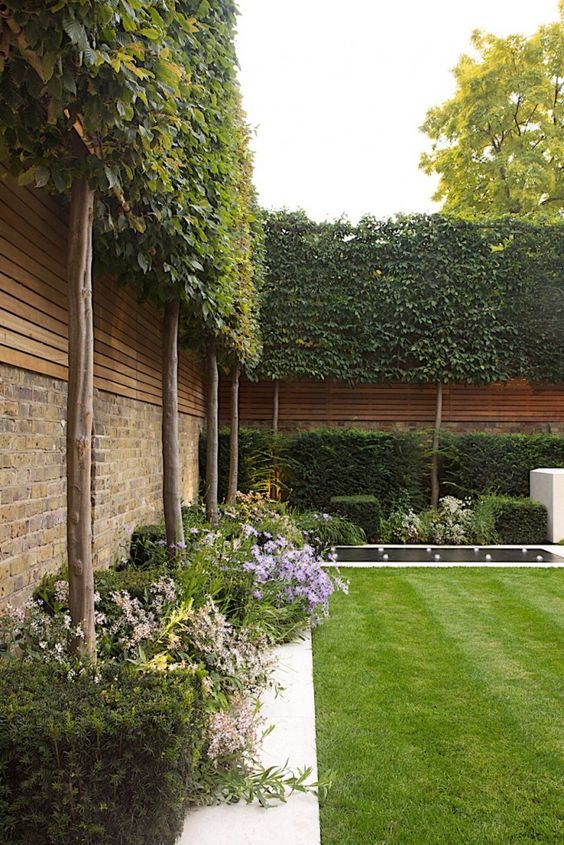 The Beauty and Functionality of Garden Hedges