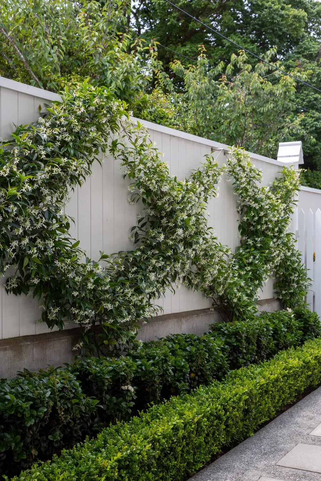 The Beauty and Functionality of Garden Hedges