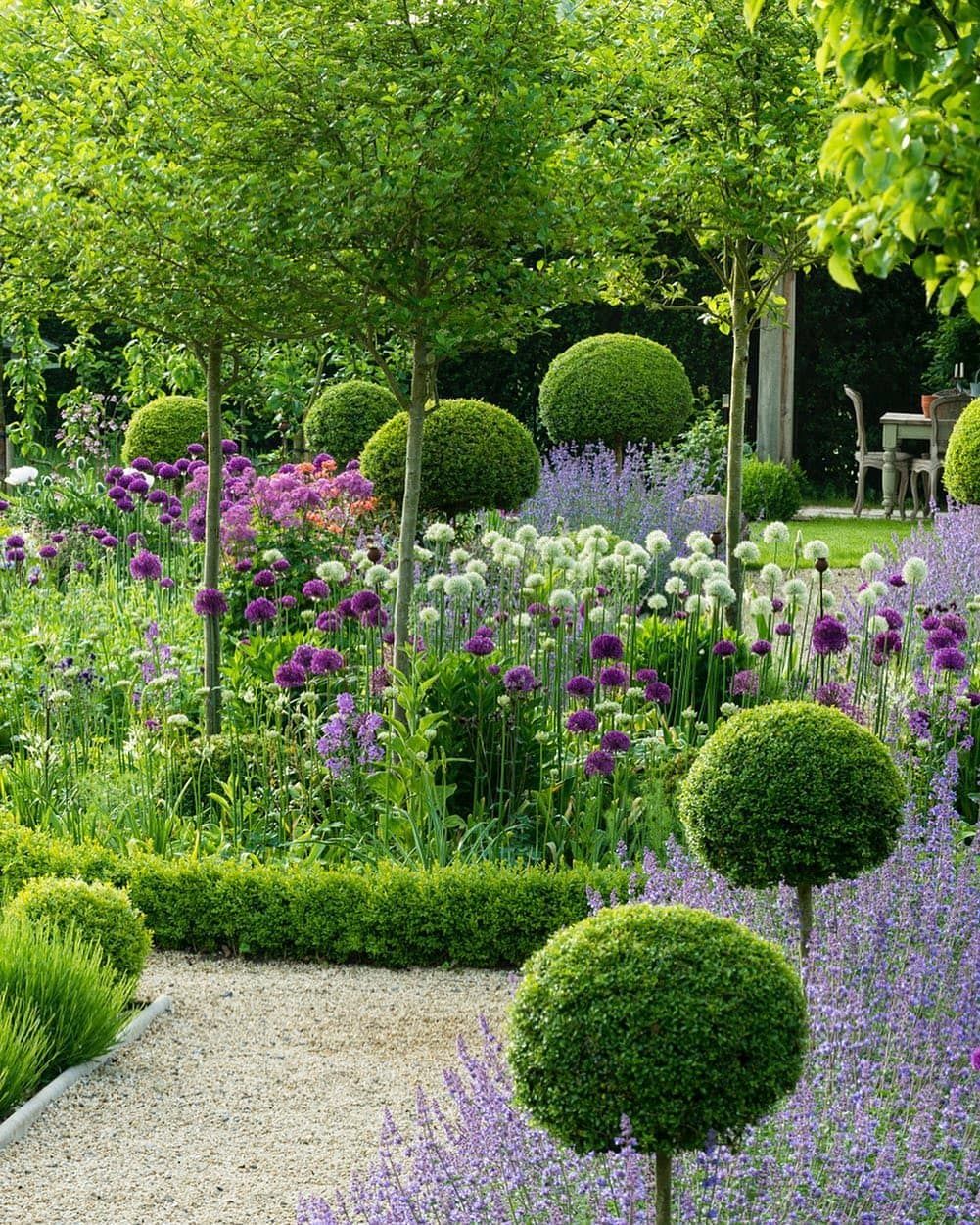 The Beauty and Practicality of Garden Hedges