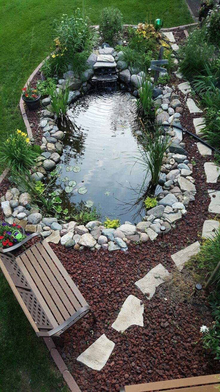 The Beauty and Tranquility of Backyard Ponds