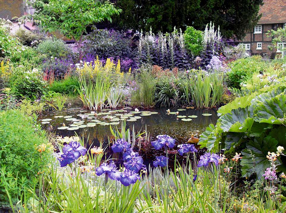 The Beauty and Tranquility of Garden Ponds