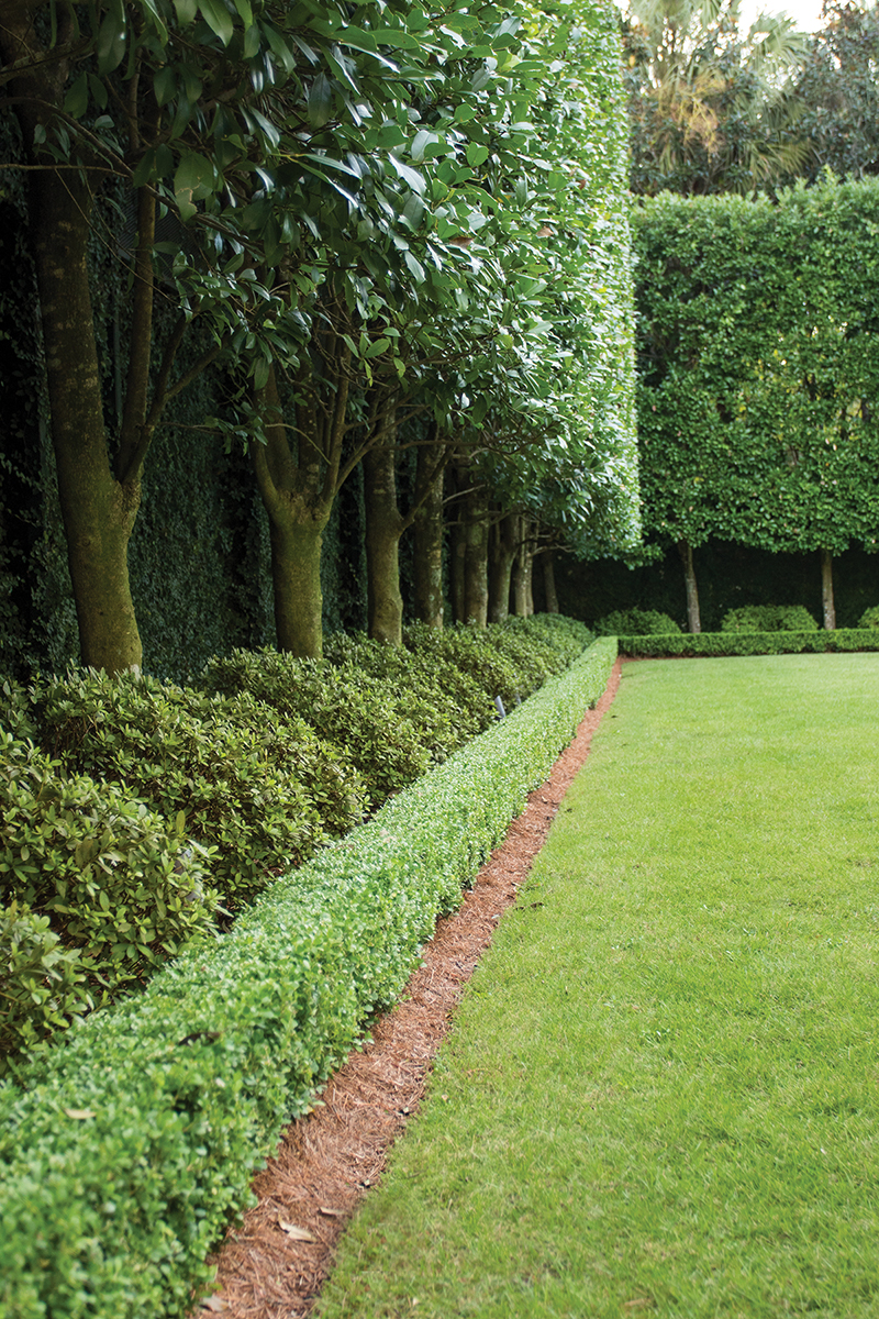 The Beauty and Utility of Garden Hedges