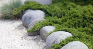 landscaping stones