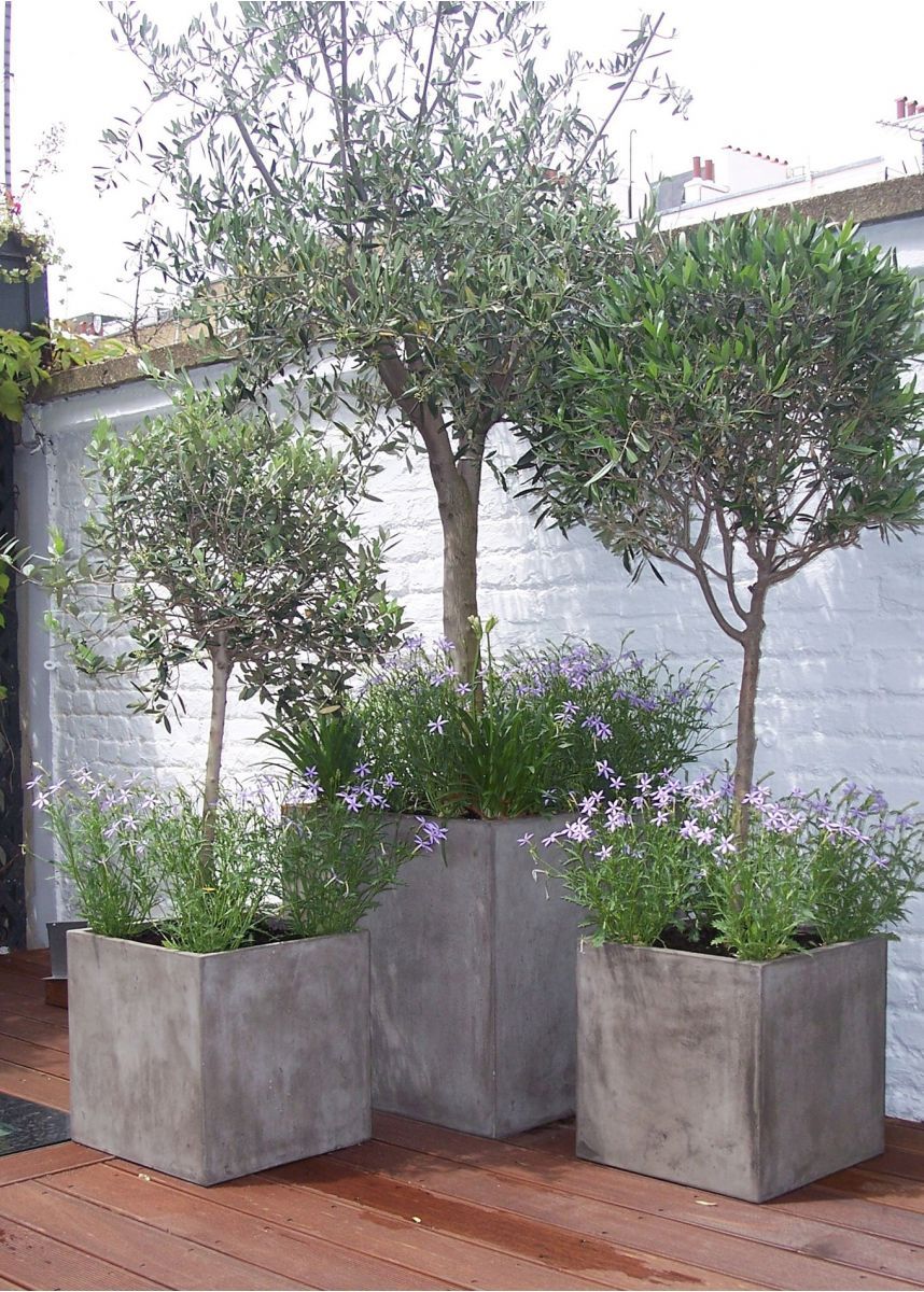 The Beauty and Versatility of Oversized Garden Planters