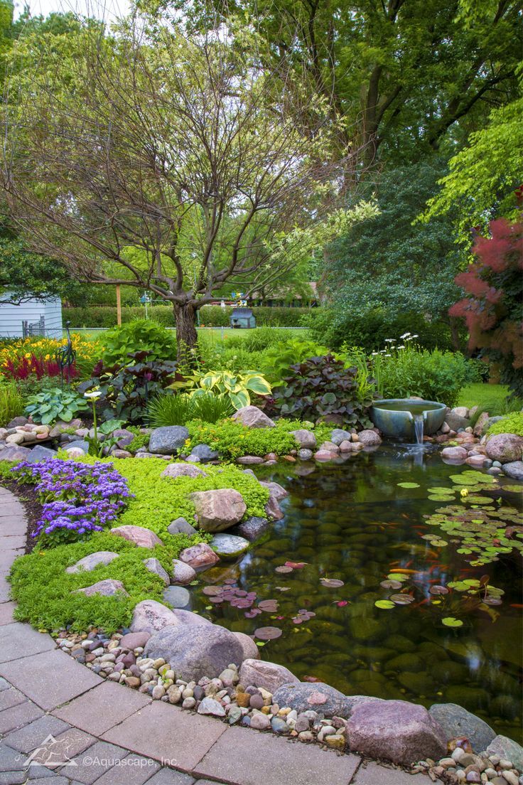 The Beauty of Backyard Ponds: A Tranquil Oasis for Your Outdoor Space