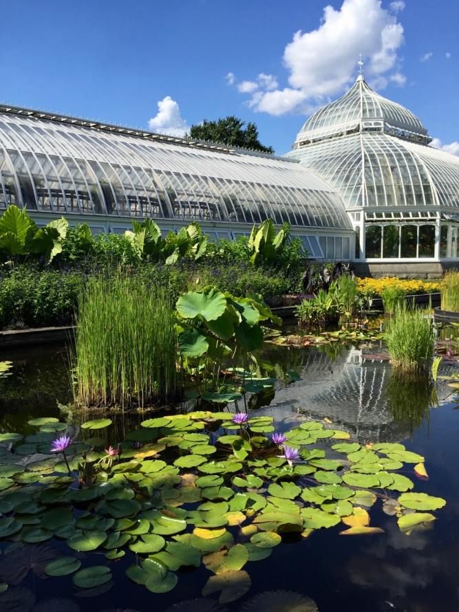 The Beauty of Botanical Gardens: A Paradise of Plants and Flowers