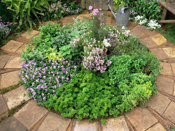 The Beauty of Circular Garden Designs