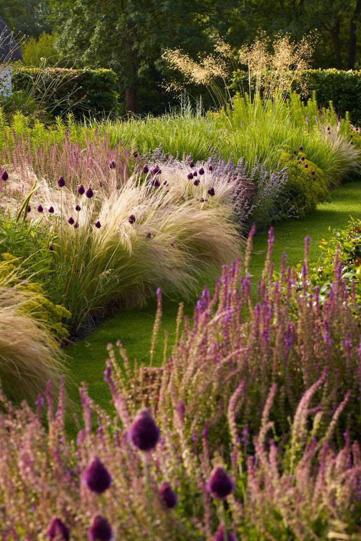 The Beauty of Different Varieties of Landscaping Grasses