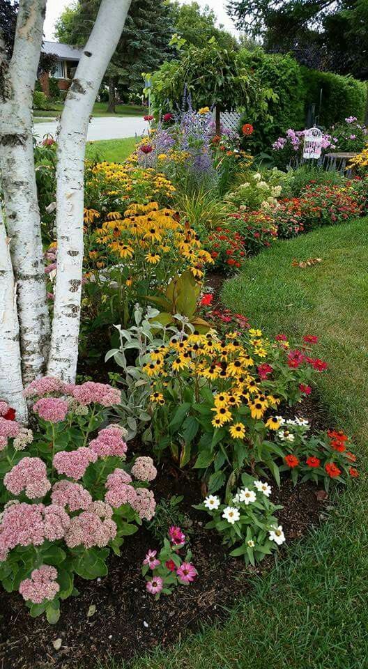 The Beauty of Flower Beds in Gardens