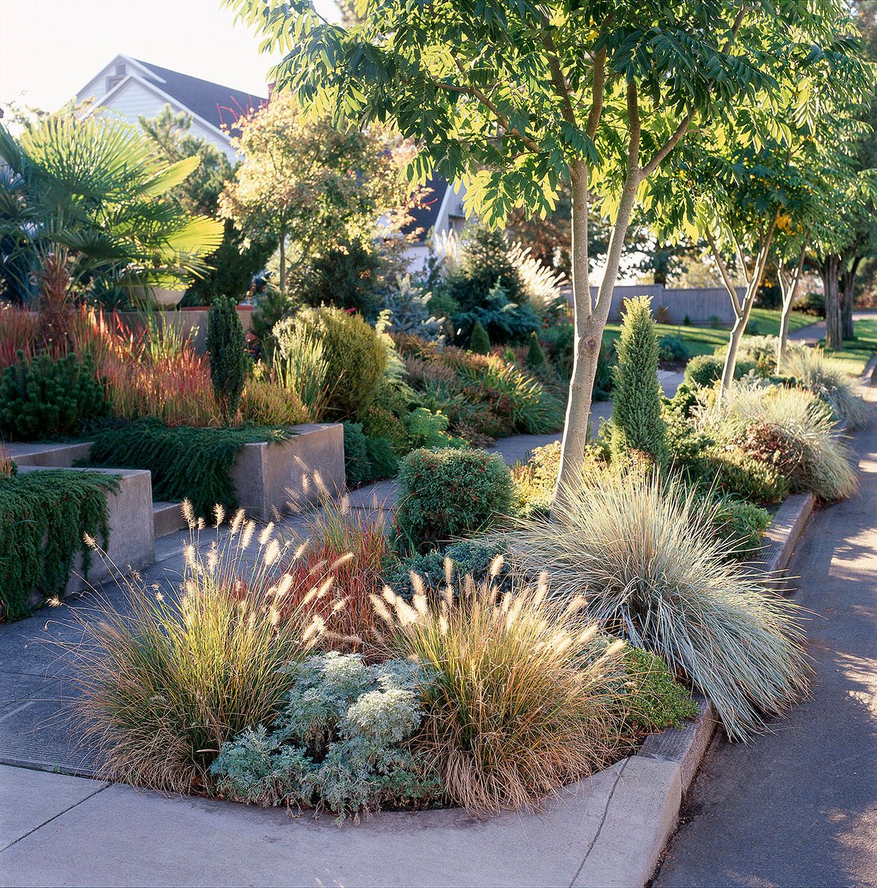 The Beauty of Front Yard Landscaping: Enhancing Your Home’s Curb Appeal