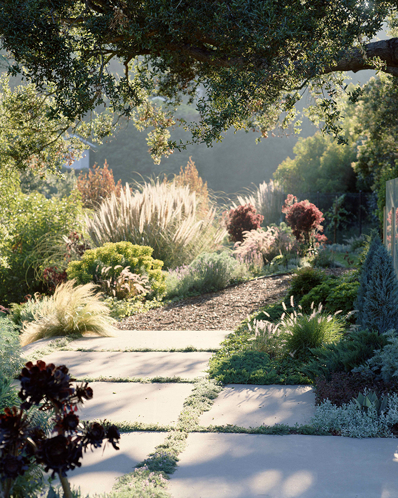 The Beauty of Front Yards: A Welcoming Introduction to Your Home