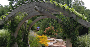 garden arbor