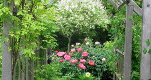 garden arbor