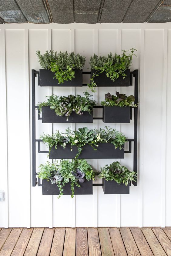 The Beauty of Garden Planter Walls: Elevating Your Outdoor Space