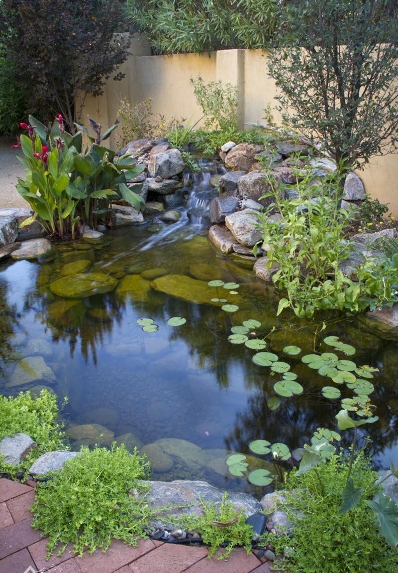 The Beauty of Garden Ponds: A Serene Addition to Your Outdoor Space