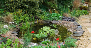 garden ponds